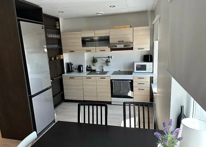 Teemeistri Maja Apartment